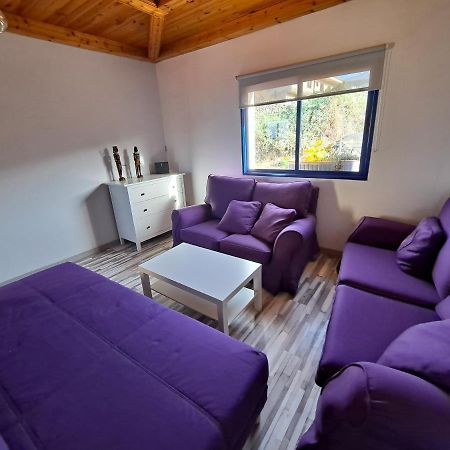 Tenerife Apartment 100M2 Casa De Don Quijote With A Terrace Of 100M2 With A View Of The Ocean And Teide Volcano And A Garden Of 600M2 伊科德·德·洛斯·维诺斯 外观 照片