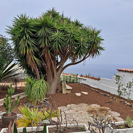Tenerife Apartment 100M2 Casa De Don Quijote With A Terrace Of 100M2 With A View Of The Ocean And Teide Volcano And A Garden Of 600M2 伊科德·德·洛斯·维诺斯 外观 照片