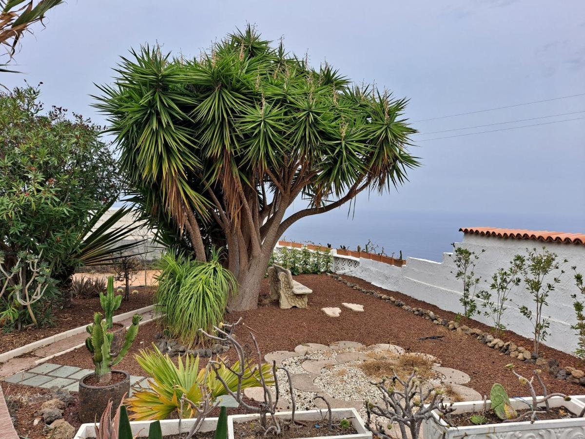 Tenerife Apartment 100M2 Casa De Don Quijote With A Terrace Of 100M2 With A View Of The Ocean And Teide Volcano And A Garden Of 600M2 伊科德·德·洛斯·维诺斯 外观 照片