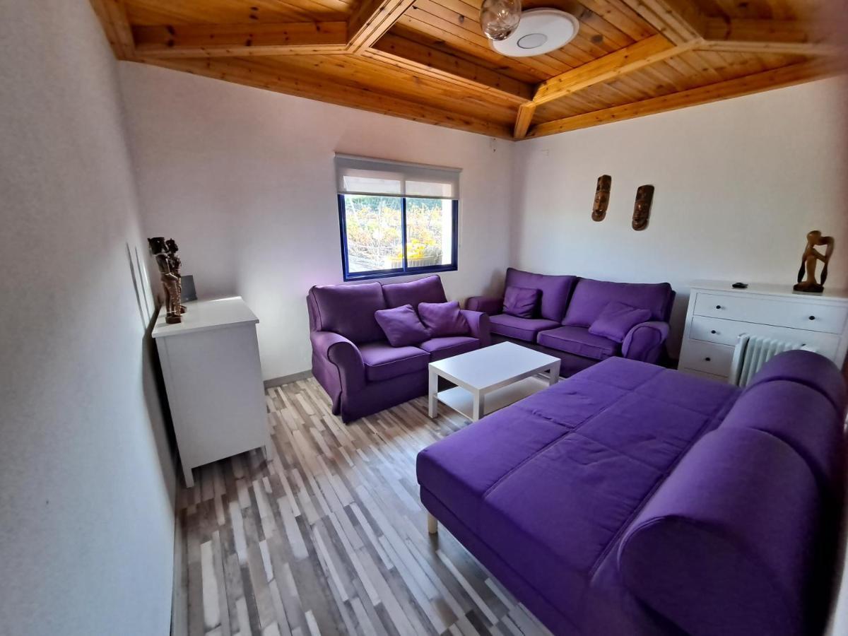 Tenerife Apartment 100M2 Casa De Don Quijote With A Terrace Of 100M2 With A View Of The Ocean And Teide Volcano And A Garden Of 600M2 伊科德·德·洛斯·维诺斯 外观 照片